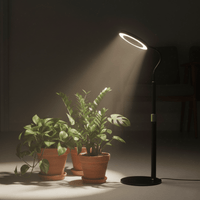 HALO Table Plant Lights - Plant Lights - 5653683746982 - Tumbleweed Plants - Online Plant Delivery Singapore