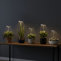 HALO Plant Lights - Stems - Plant Lights - 5843186099705 - Tumbleweed Plants - Online Plant Delivery Singapore