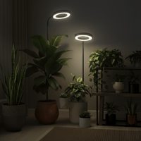 HALO Plant Light - XL - Plant Lights - 5826490026810 - Tumbleweed Plants - Online Plant Delivery Singapore