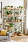 LivingRack Series - Shelves for Plants - Planter -  Tumbleweed Plants