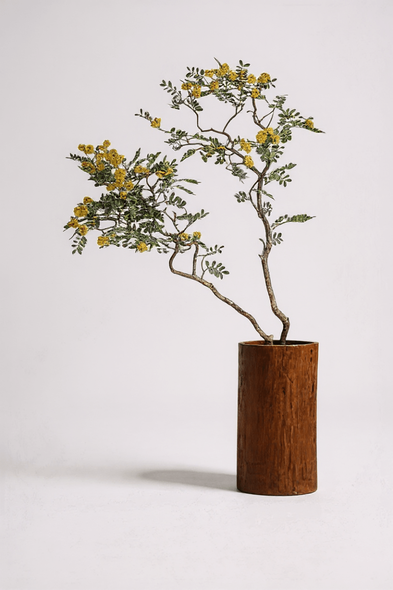 Locust Flower Tree - Real - Trunk Artificial - artifi - 5516314535781 - Tumbleweed Plants - Online Plant Delivery Singapore
