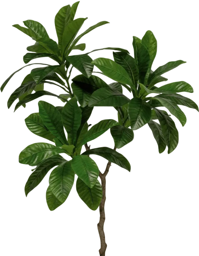 Loquat Tree (Life-like Artificial)