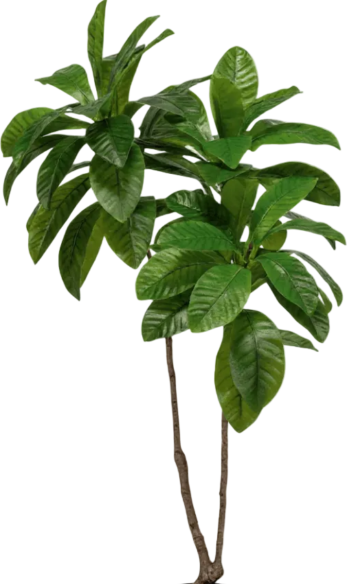 Loquat Tree (Life-like Artificial)