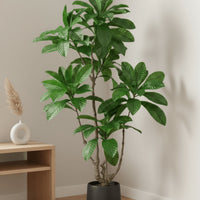 Loquat Tree (Life-like Artificial)
