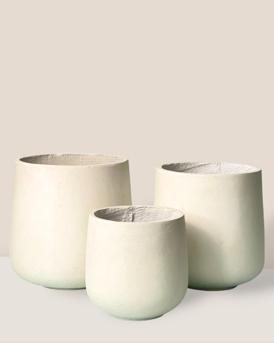 XL Luna Cylinder Pot - terracotta dots - Pot - Tumbleweed Plants - Online Plant Delivery Singapore