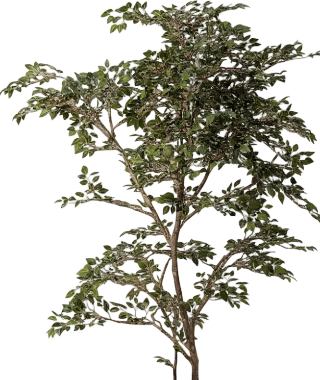 Banyan Tree - Real-Trunk Artificial