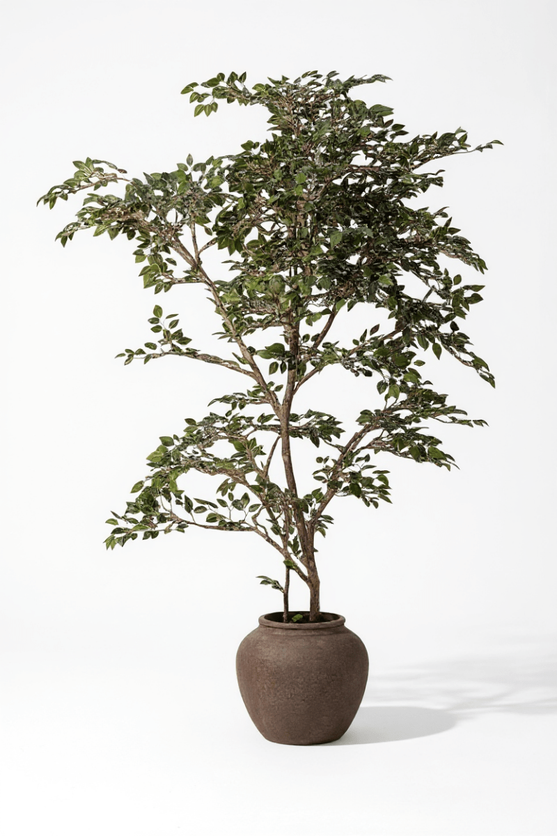 artificial bonsai banyan tree Banyan Tree - Real-Trunk Artificial