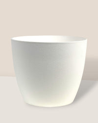 Medium Luxe Plastic Pot - White - Pot - Tumbleweed Plants - Online Plant Delivery Singapore