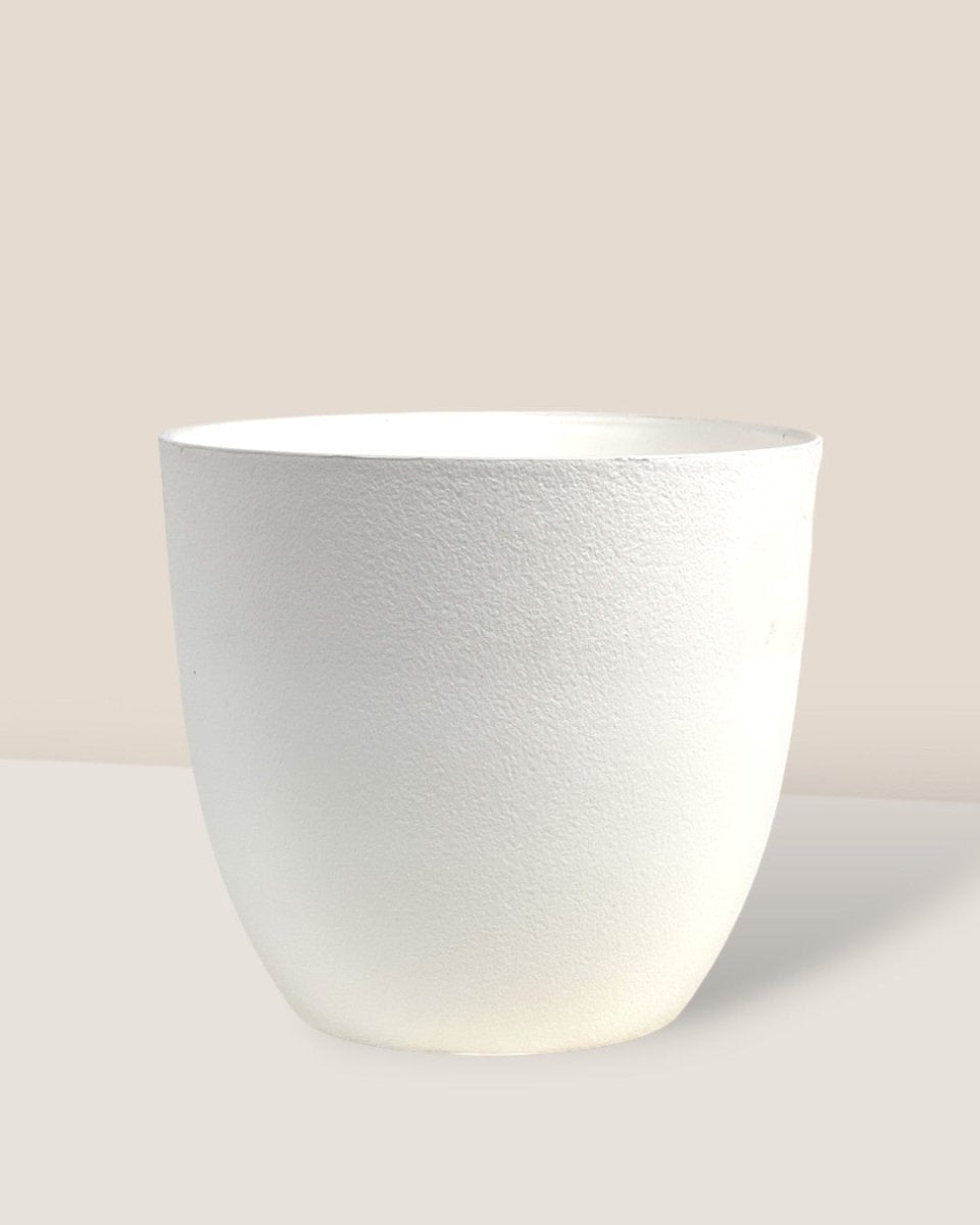 Medium Luxe Plastic Pot - White - Pot - Tumbleweed Plants - Online Plant Delivery Singapore
