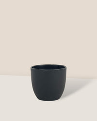 Mini Luxe Plastic Pot - Black - Pot - Tumbleweed Plants - Online Plant Delivery Singapore