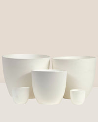 Mini Luxe Plastic Pot - Black - Pot - Tumbleweed Plants - Online Plant Delivery Singapore