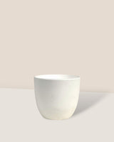 Luxe Plastic Pot - XS