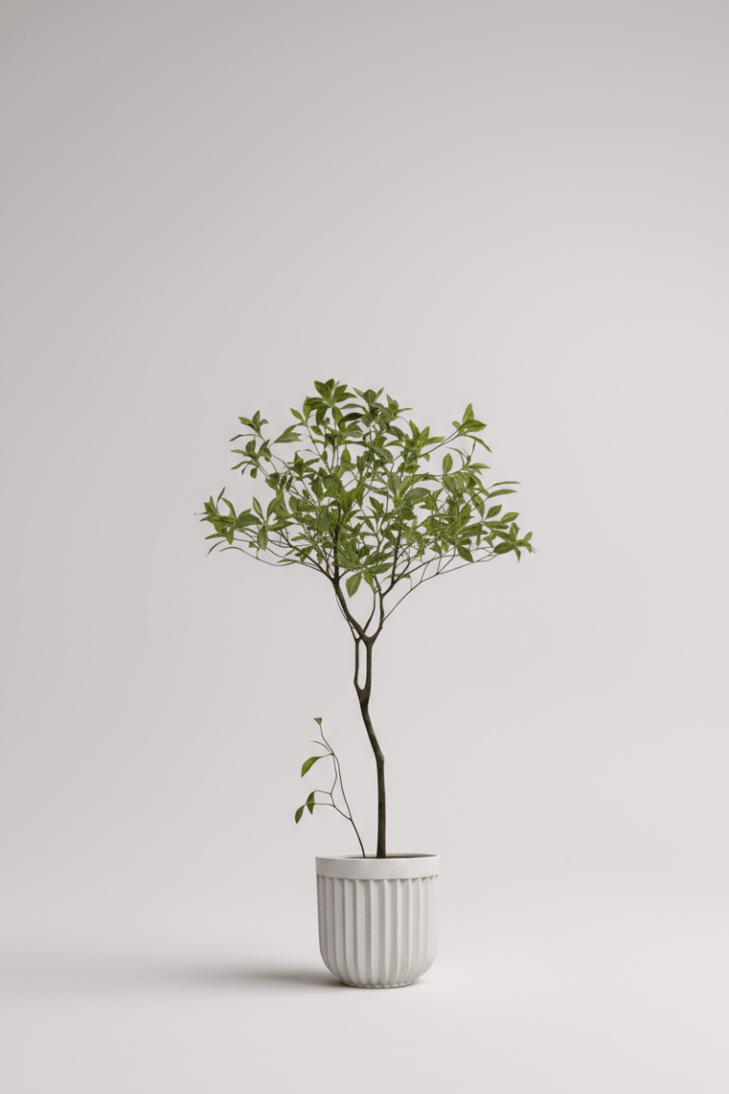 Luxury Green 120cm