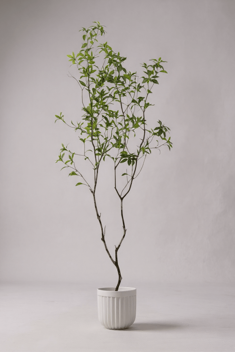 Luxury Green 200cm