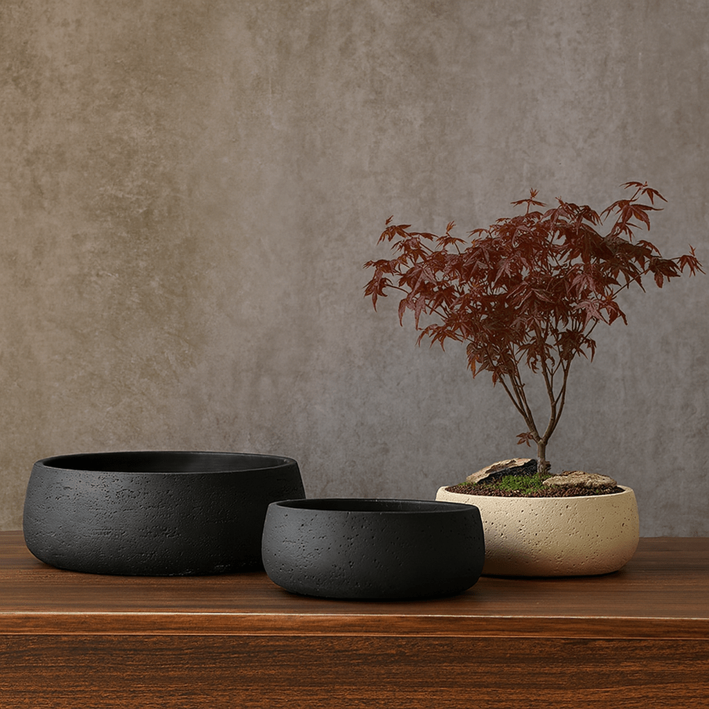 Mid Century Bonsai Bowl Planter - Large - Planter - 5943274891219 - Tumbleweed Plants - Online Plant Delivery Singapore