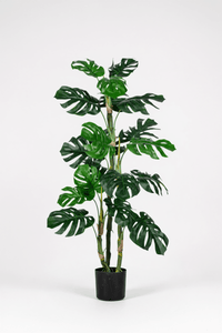 Monstera Tree (Life - life Artificial) - Potted plant - 5148161961593 - Tumbleweed Plants - Online Plant Delivery Singapore