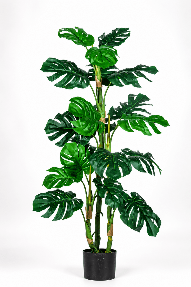 Monstera Tree (Life-life Artificial) - Potted plant - 5148161961593 - Tumbleweed Plants - Online Plant Delivery Singapore