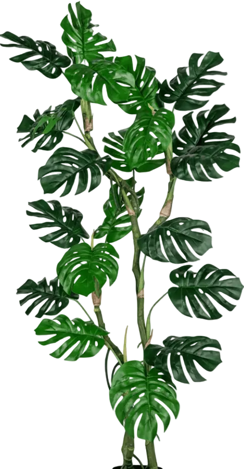 Monstera Tree (Life-life Artificial)