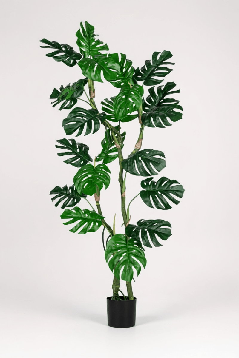 Monstera Tree (Life - life Artificial) - Potted plant - 5148161961598 - Tumbleweed Plants - Online Plant Delivery Singapore