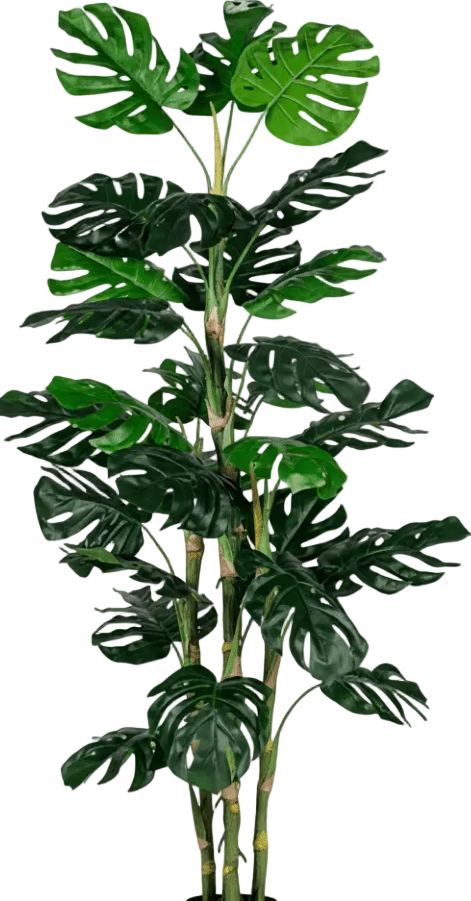 Monstera Tree (Life-life Artificial)