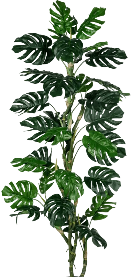 Monstera Tree (Life-life Artificial)