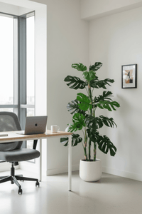 Monstera Tree (Life - life Artificial) - Potted plant - 5148161961593 - Tumbleweed Plants - Online Plant Delivery Singapore