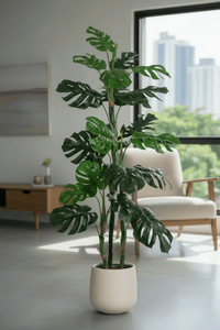 Monstera Tree (Life - life Artificial) - Potted plant - 5148161961593 - Tumbleweed Plants - Online Plant Delivery Singapore