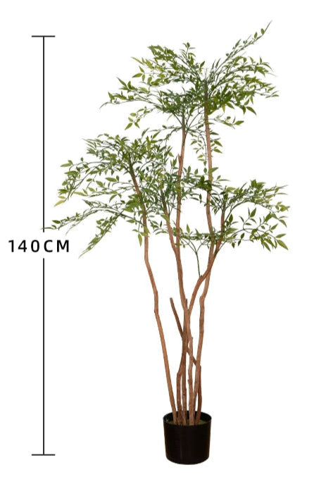 Nantian bamboo -  -  Tumbleweed Plants