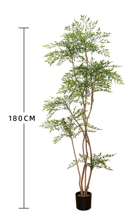 Nantian bamboo -  -  Tumbleweed Plants