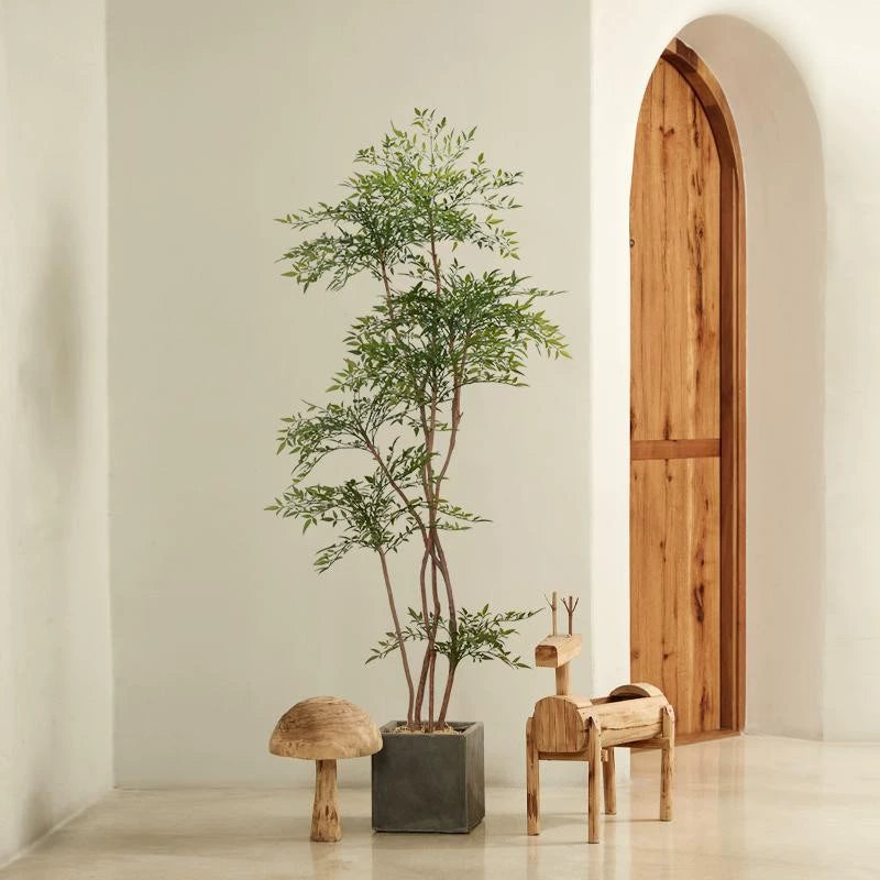 Nantian bamboo -  -  Tumbleweed Plants