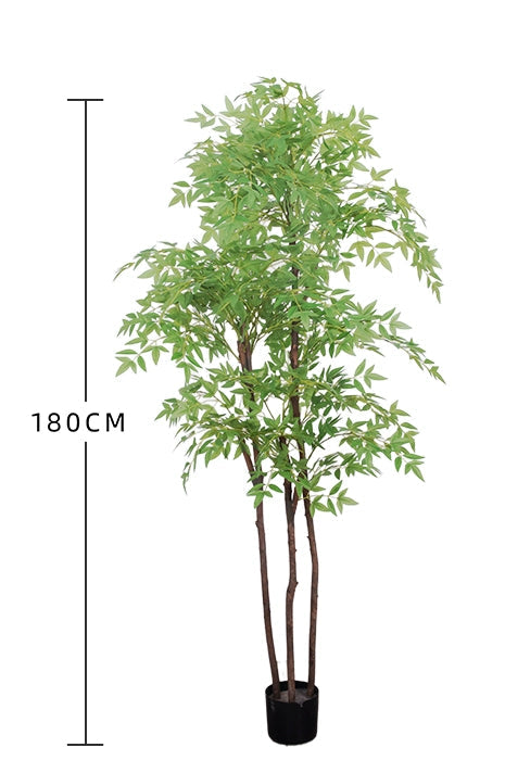 Bamboo Big Leaf 180cm