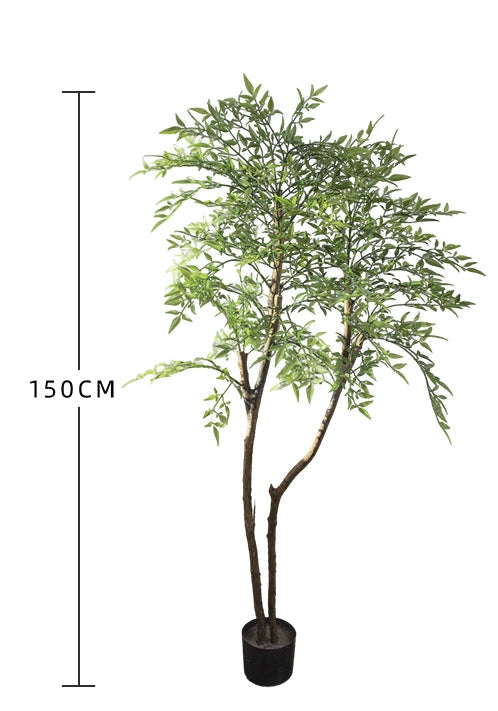 Nantian bamboo -  -  Tumbleweed Plants