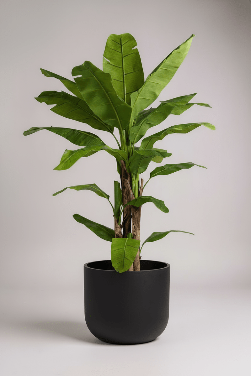 Banana Tree (Life - life Artificial) - Potted plant - 5103784103174 - Tumbleweed Plants - Online Plant Delivery Singapore