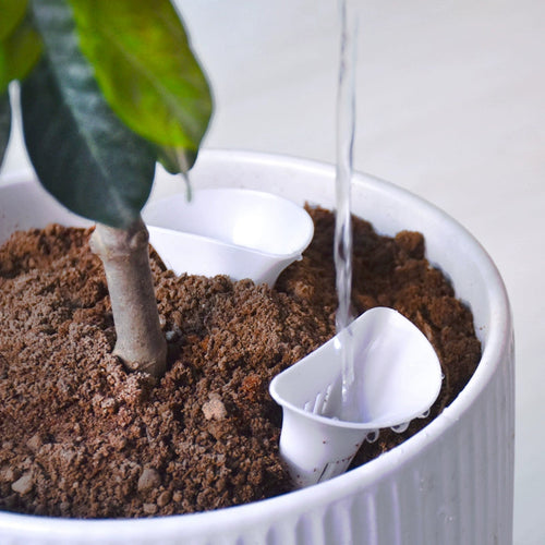 SoilMate Air Cup -  -  Tumbleweed Plants