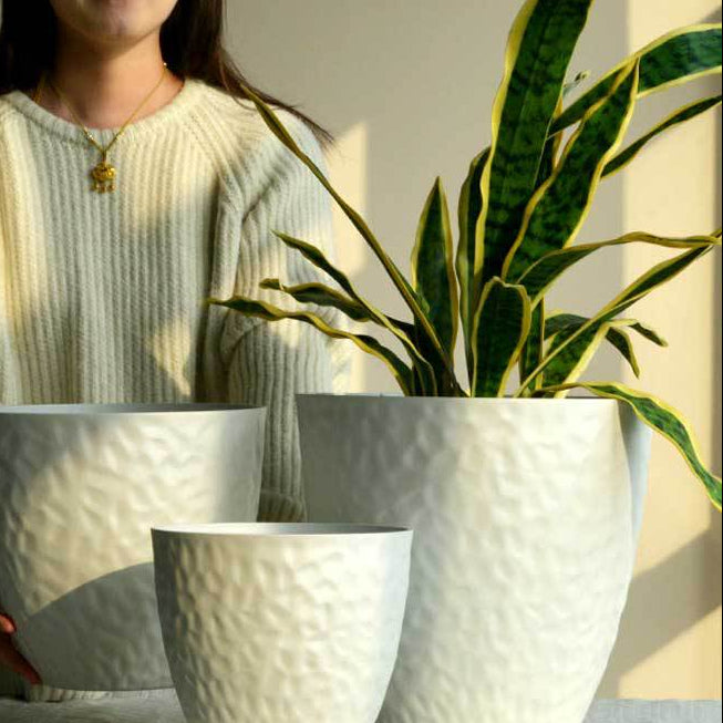 Luna Egg Pearl Cloudstone Pot - Large