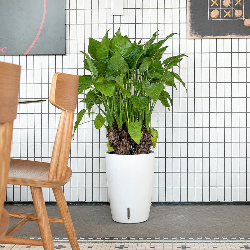 HydroEase Tall Self-Watering Planter - L