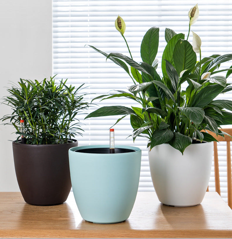 HydroEase Classic Self-Watering Pot - M