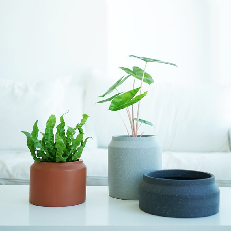 Ayra Short Cement Pot - Planter - 4875146925027 - Tumbleweed Plants - Online Plant Delivery Singapore