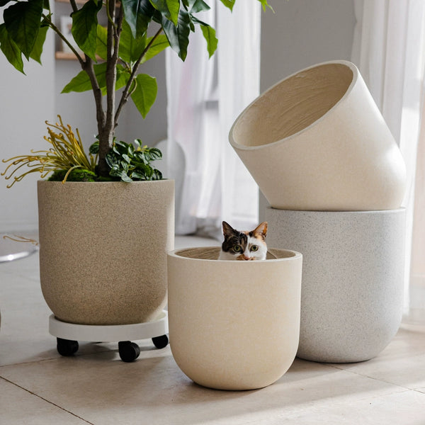 Sand Mist Pot - XXL