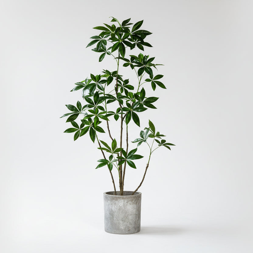 Money Tree - Life-like Artificial Plant (Fortune Tree)