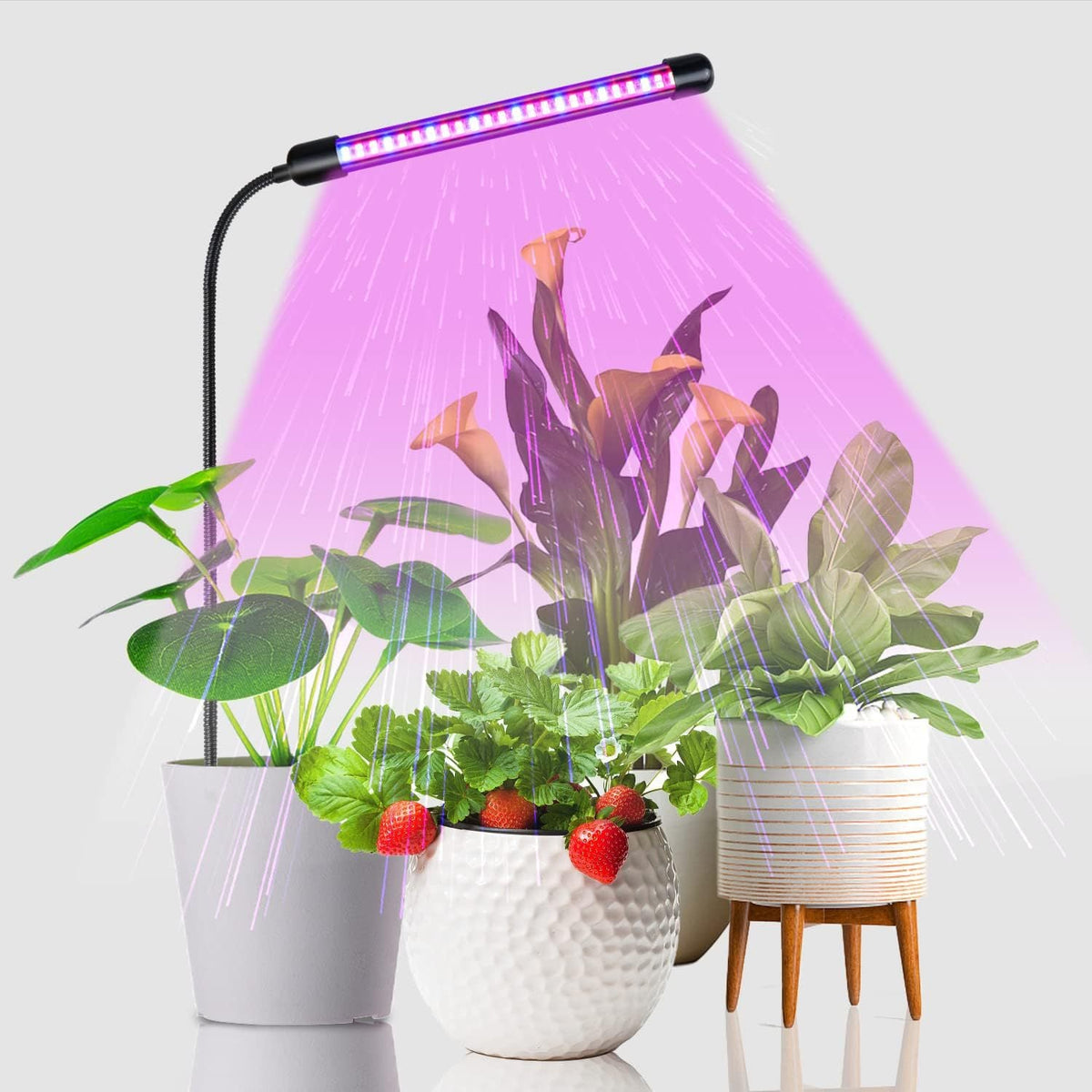 HaloStick - Adjustable Gooseneck Grow Light (Indoor) -  -  Tumbleweed Plants