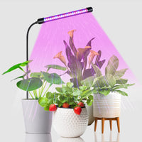 HaloStick - Adjustable Gooseneck Grow Light (Indoor) -  -  Tumbleweed Plants