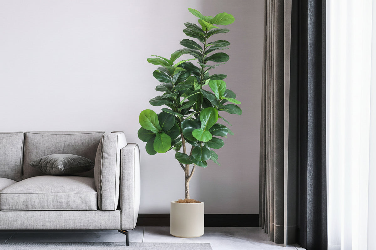 fiddle leaf fig vase life Fiddle Leaf Fig (Life-like Artificial)