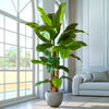Tropical Banana Tree Artificial Plant