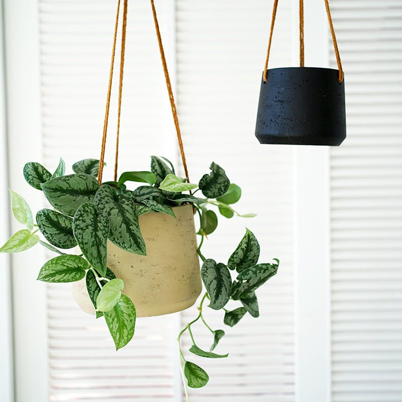 Hanging Nook Pot - Large - Planter - 4950246450148 - Tumbleweed Plants - Online Plant Delivery Singapore