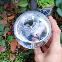AquaSphere Self-Watering Globe