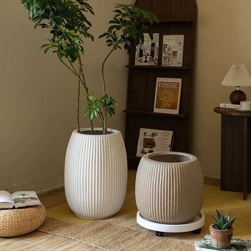 Reed Planter - Planter - 5975162095779 - Tumbleweed Plants - Online Plant Delivery Singapore