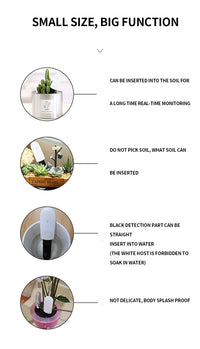 PlantPulse Watering Meter