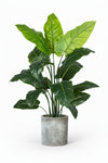 Taro Tree - Life-like Artificial