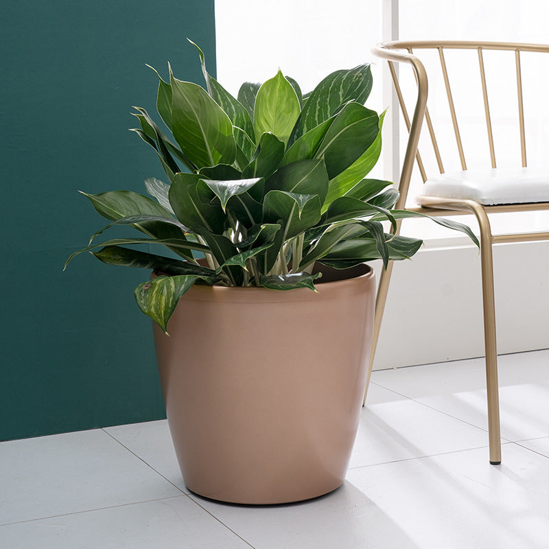 HydroEase Classic Self-Watering Pot - XL